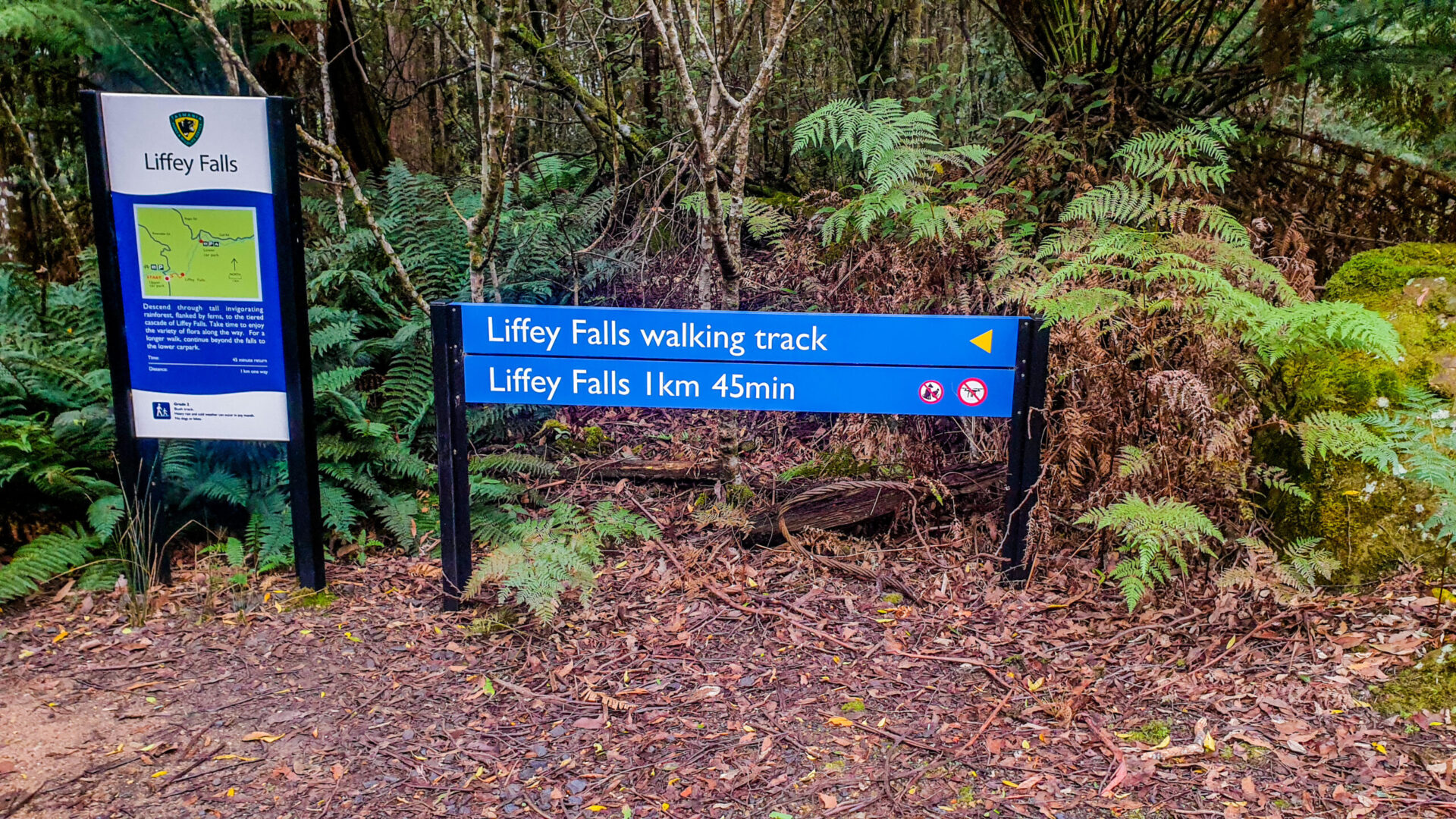 Liffey falls Signs