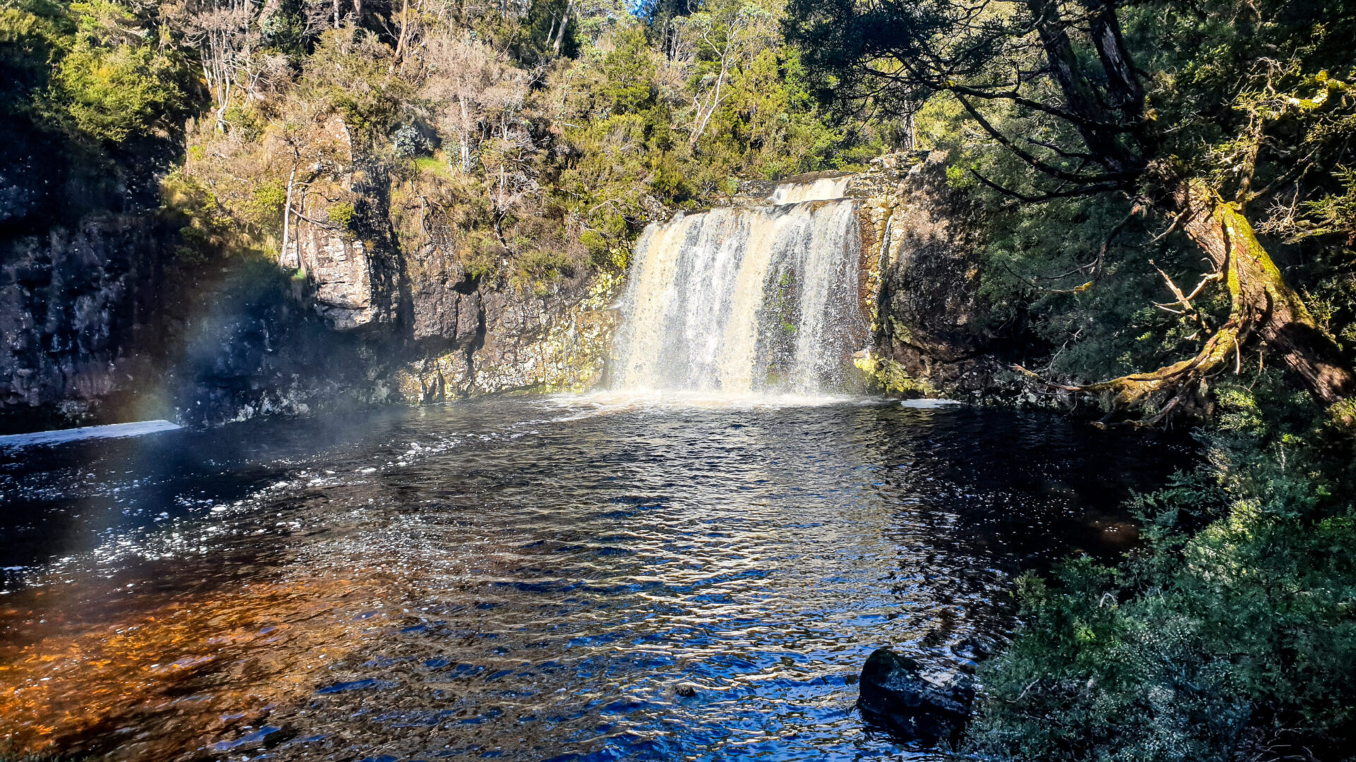 top 10 waterfalls in tasmania-Pencil Pine Falls in Cradle Mountain