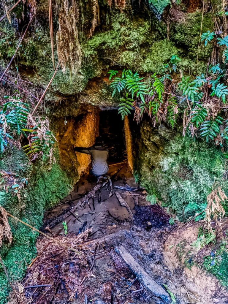 Looking into browning's tunnel