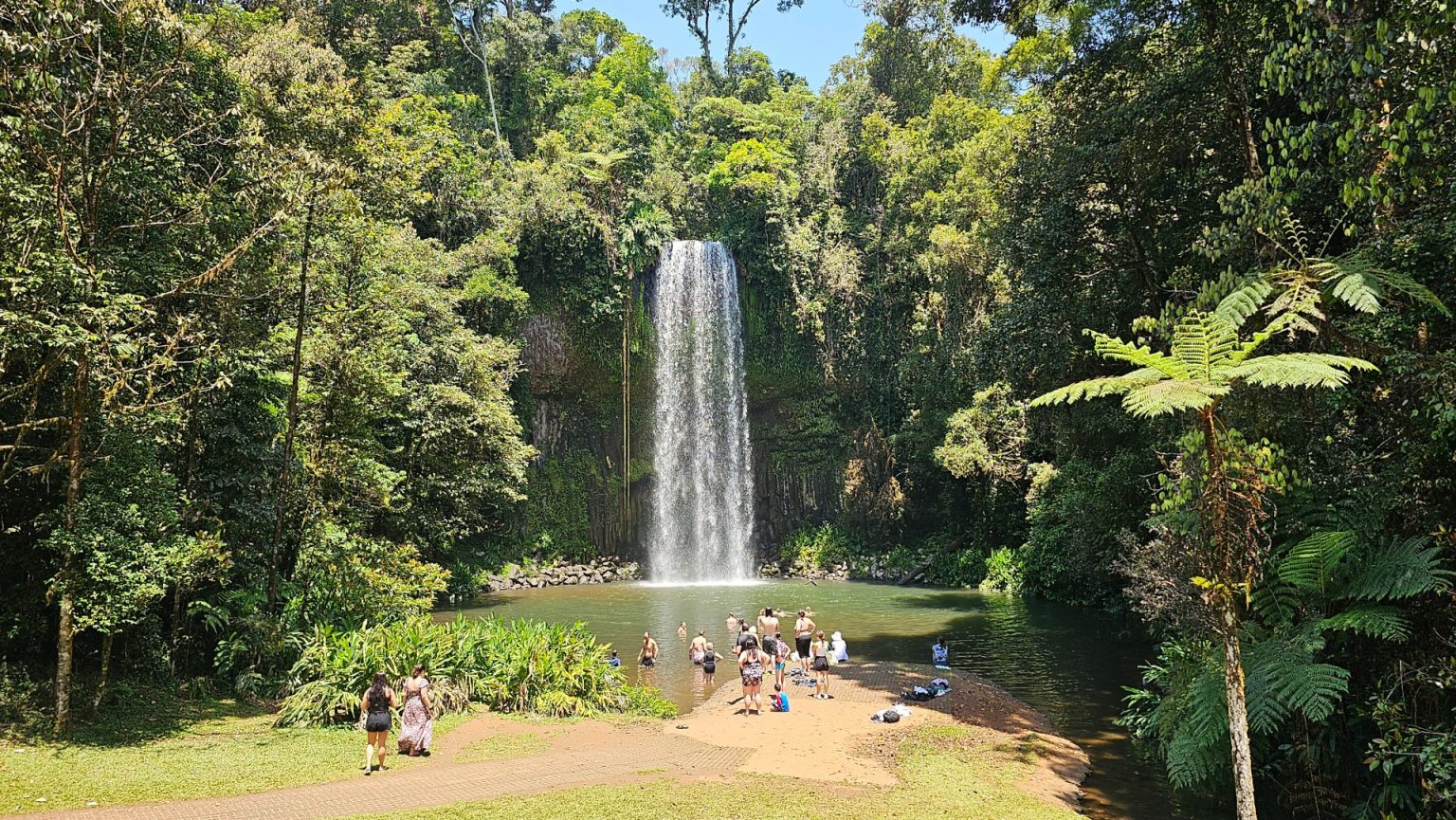 Beautiful Waterfall’s and Hikes In Millaa Millaa